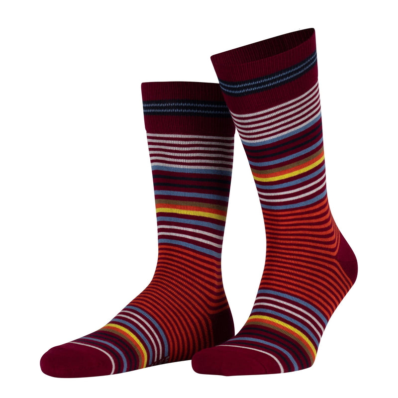 Falke - Open Socks 8-12 / MAROON BOUNDLESS STRIPE